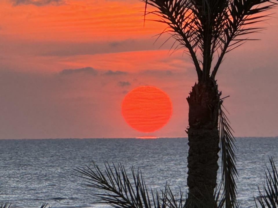 Ausblick Steigenberger Coraya Beach - Adults only