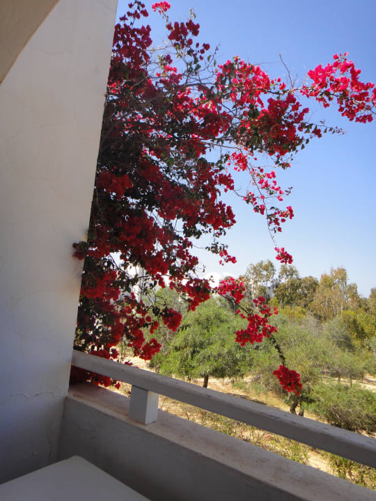 Balkon mit blüten Hotel El Mouradi Djerba Menzel