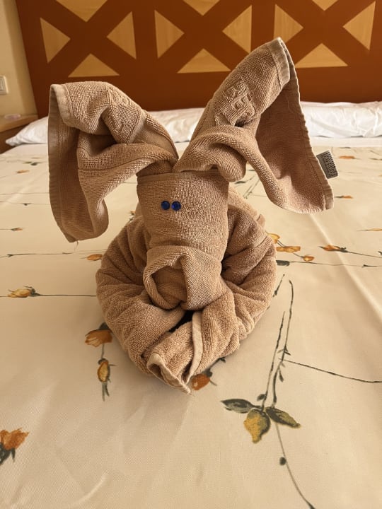 Zimmer SBH Costa Calma Beach Resort