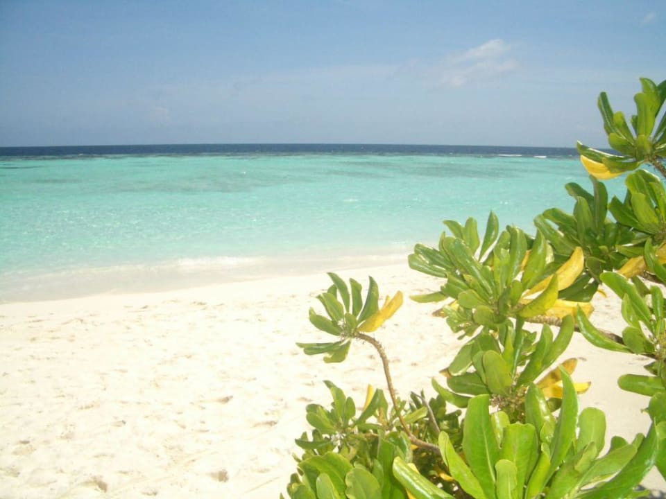 Traumstand von Thulhagiri Thulhagiri Island Resort