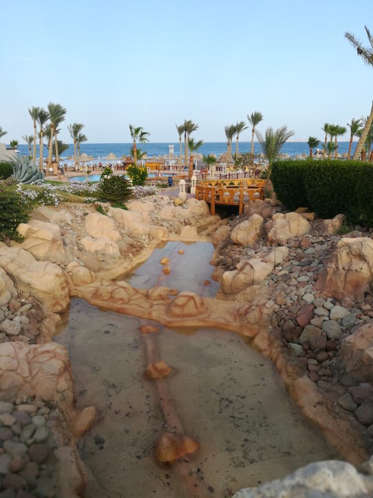 Gartenanlage Parrotel Beach Resort