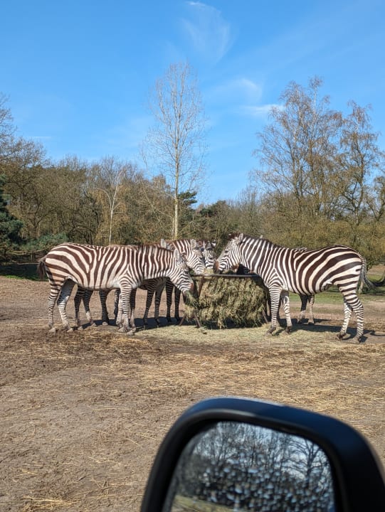 Sport & Freizeit Safari Hotel Beekse Bergen