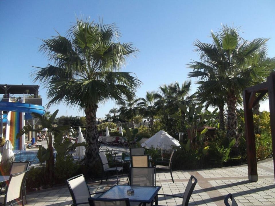 Überall Palmen Diamond Excellence Resort & Spa