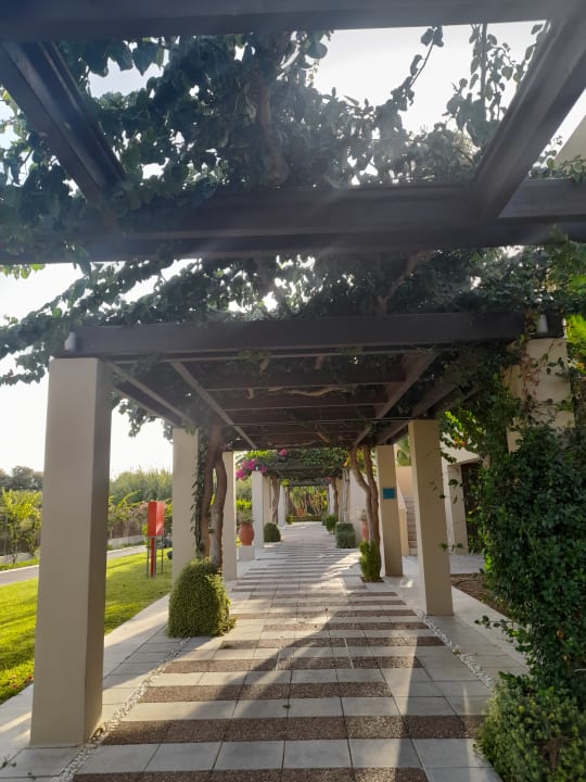 Gartenanlage Astir Odysseus Kos Resort & Spa