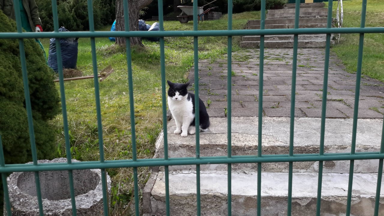  Felix   Landhotel Harz