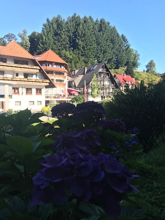 Außenansicht Naturparkhotel Adler
