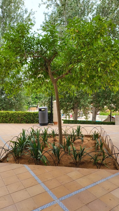 Gartenanlage MLL Palma Bay Club Resort