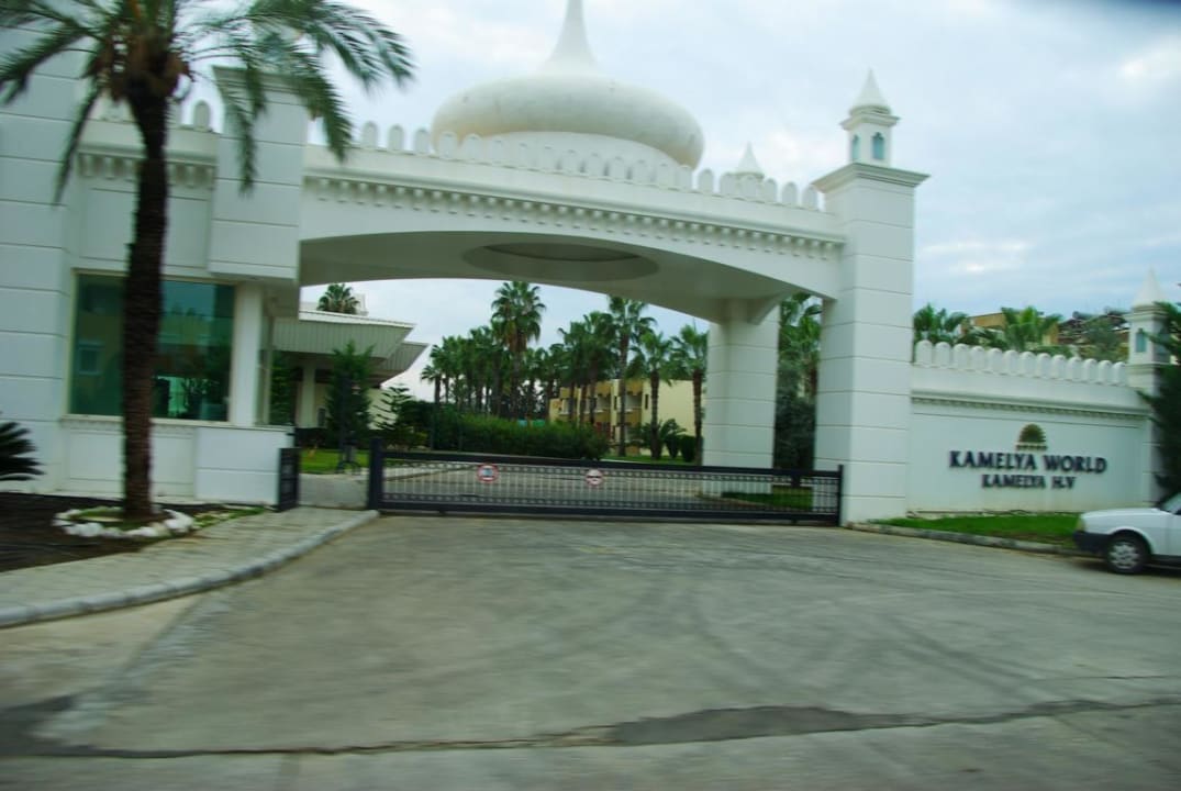 Ende Nov. 2012 Kamelya Aishen Club