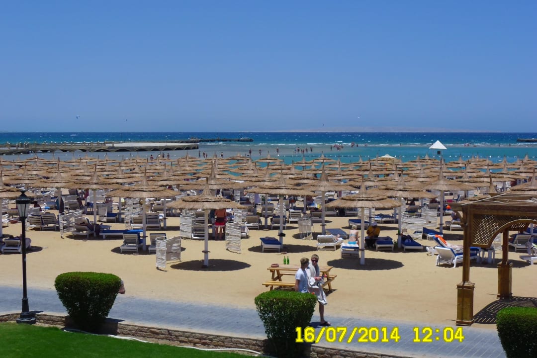 500 Liegestühle und Schirme Pickalbatros Dana Beach Resort - Hurghada
