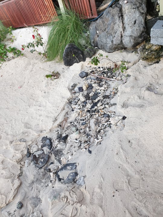 Strand Pearle Beach Resort & Spa