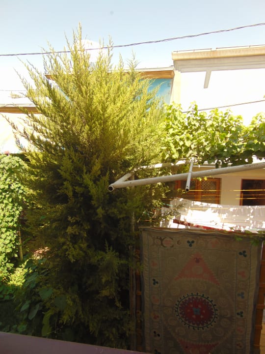 Ausblick Jahongir Hotel