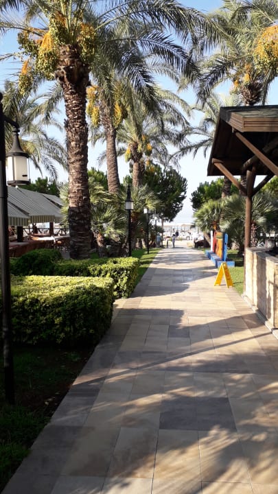 Außenansicht Sunis Kumköy Beach Resort Hotel & Spa