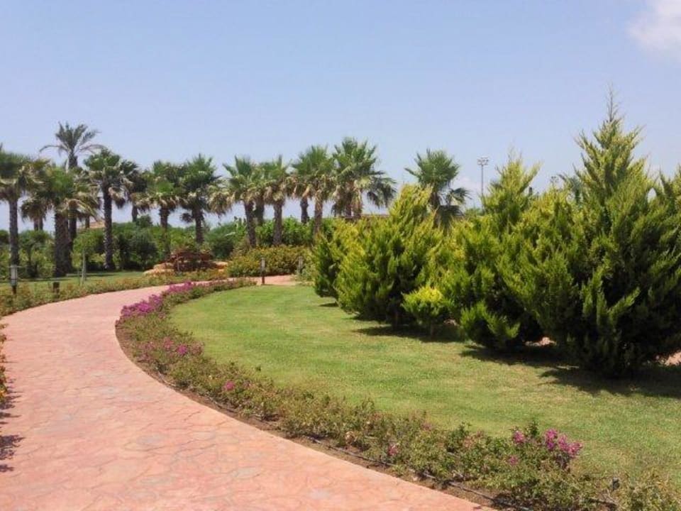 Gartenanlage Hotel Miracle Resort