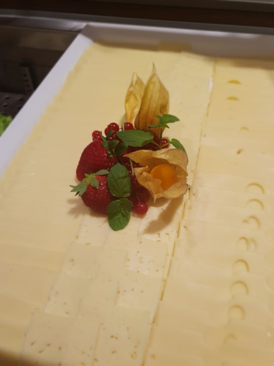 Gastro Cityherberge Dresden