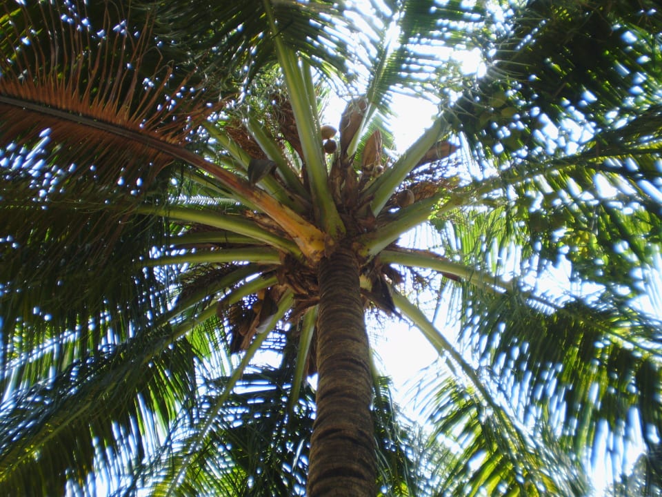 Palme Adaaran Select Meedhupparu Island Resort - Premium All Inclusive