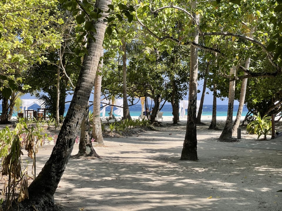 Gartenanlage Adaaran Select Meedhupparu Island Resort - Premium All Inclusive