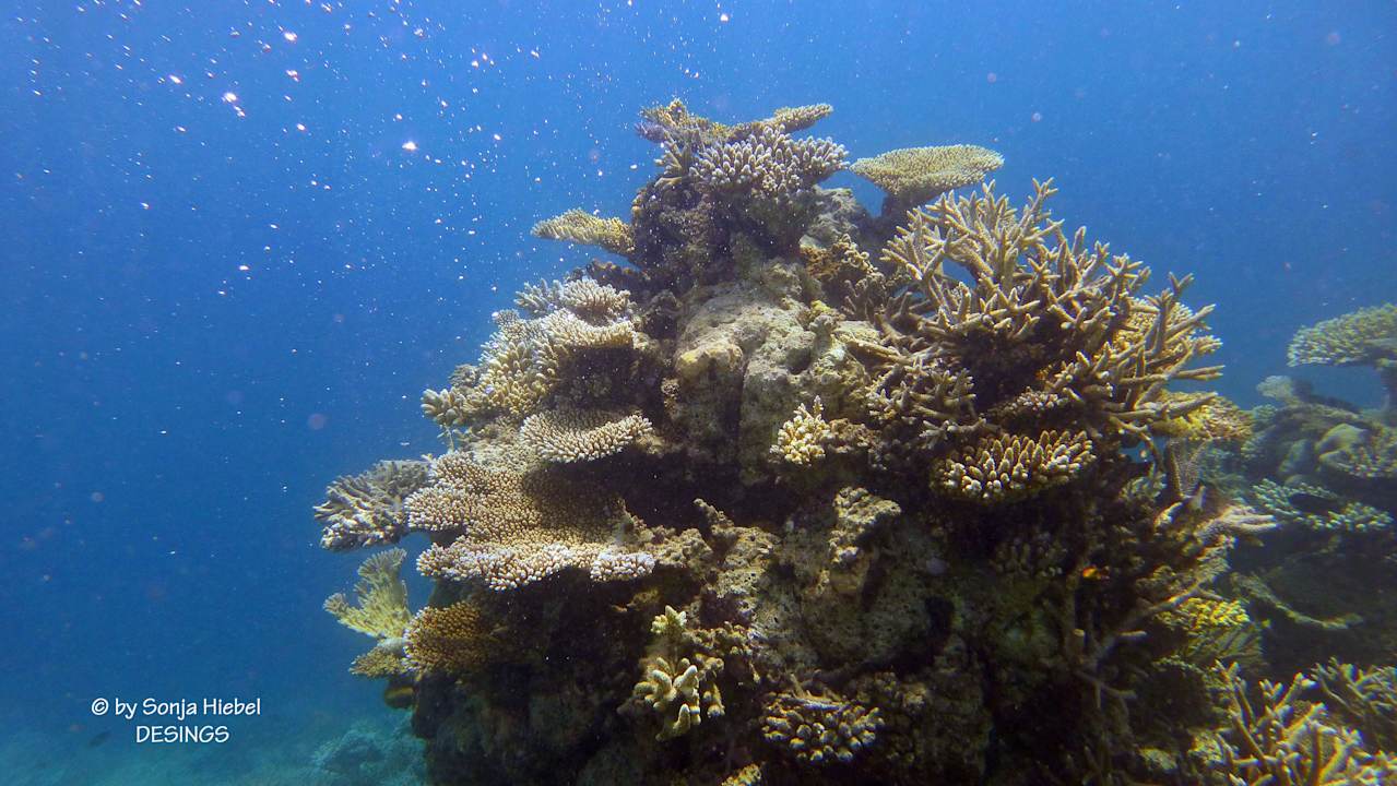 Unterwasser ananea Diamonds Athuruga