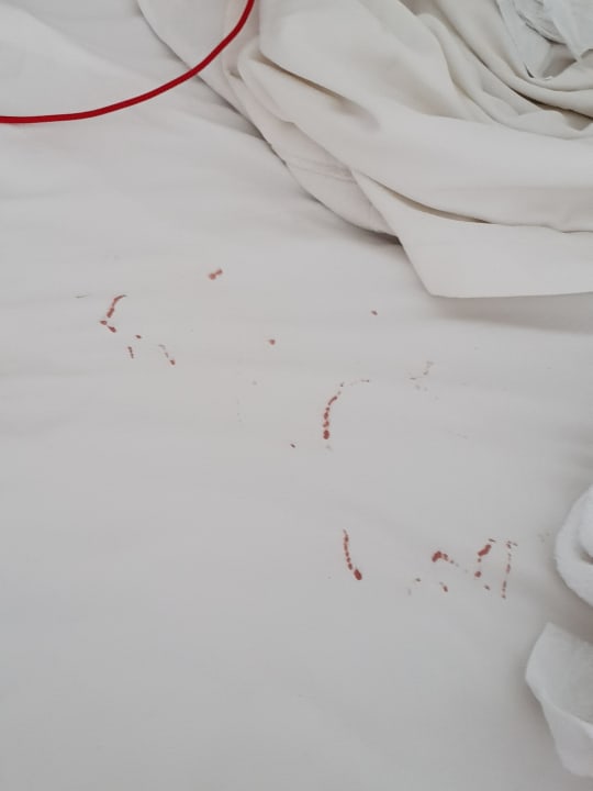 Zimmer Hotel Viva Dominicus Beach by Wyndham - All Inclusive Resort