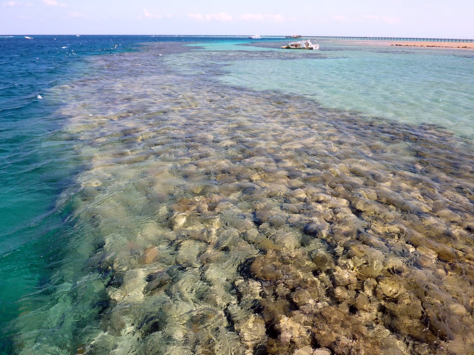 Strand Cleopatra Luxury Resort Makadi Bay