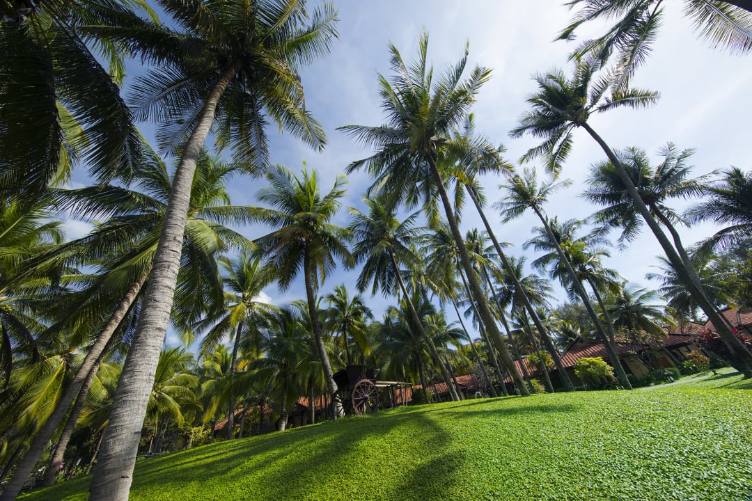 Außenansicht Seahorse Resort & Spa