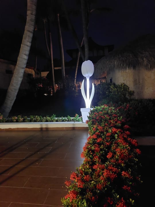 Gartenanlage Grand Palladium Select Bávaro Resort & Spa