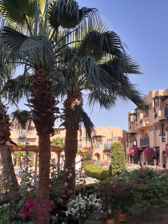 Gartenanlage Three Corners Rihana Resort Deluxe