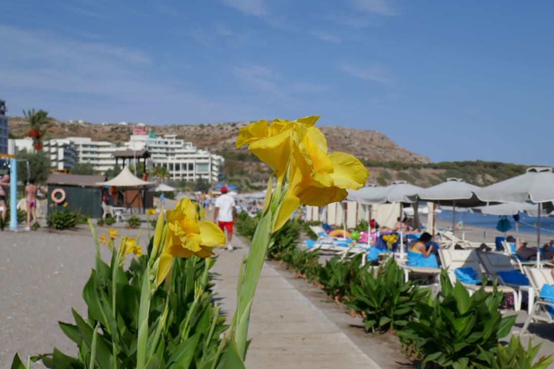 Strand Rodos Palladium Leisure & Wellness