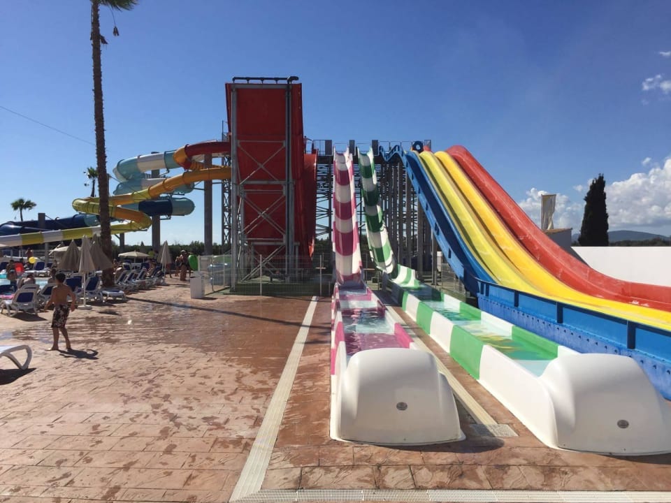 Splashworld Globales Bouganvilla