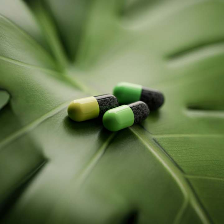 Sonstiges MGM Wellness Retreat