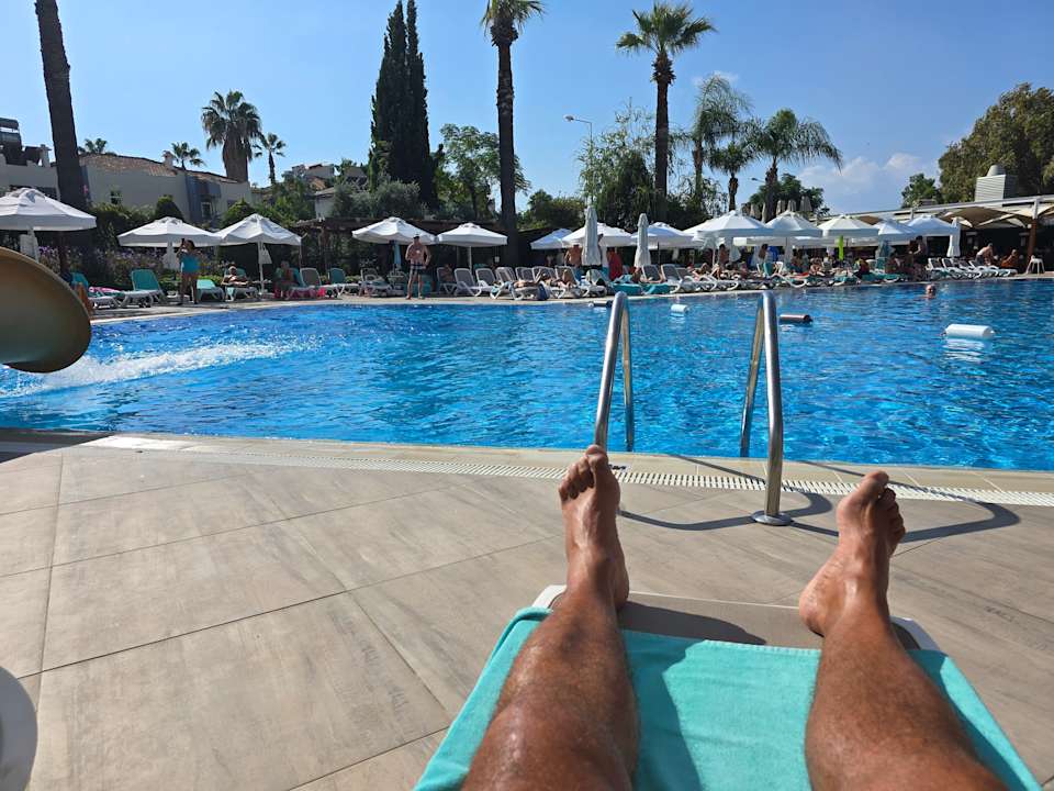 Pool Side Star Elegance