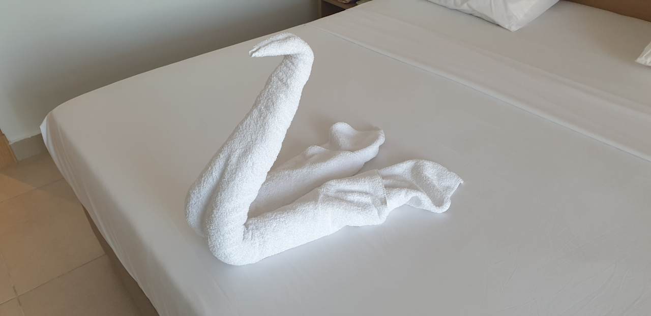 Zimmer JAZ Elite Asteria