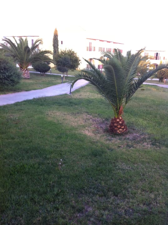 Gartenanlage im Village Corali Hotel