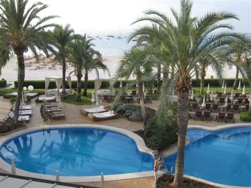 Pool und Liegenbereich VIVA Golf - Adults only 18+