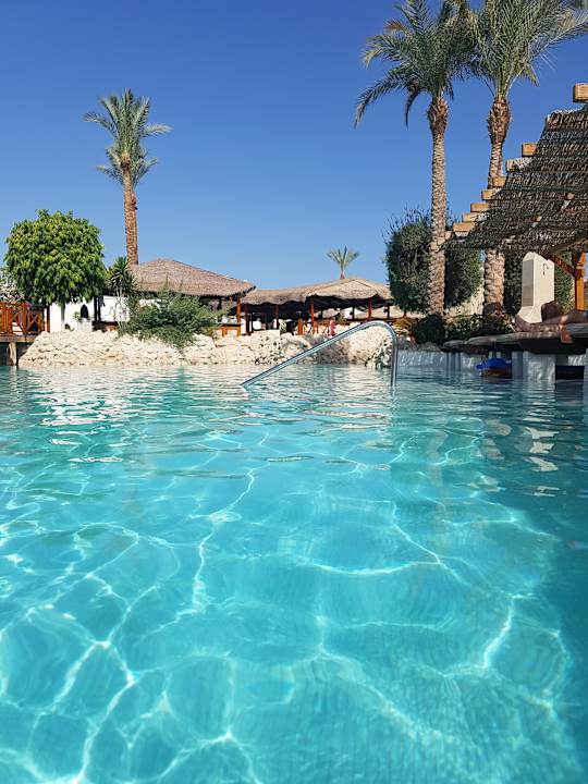 Pool Ghazala Gardens