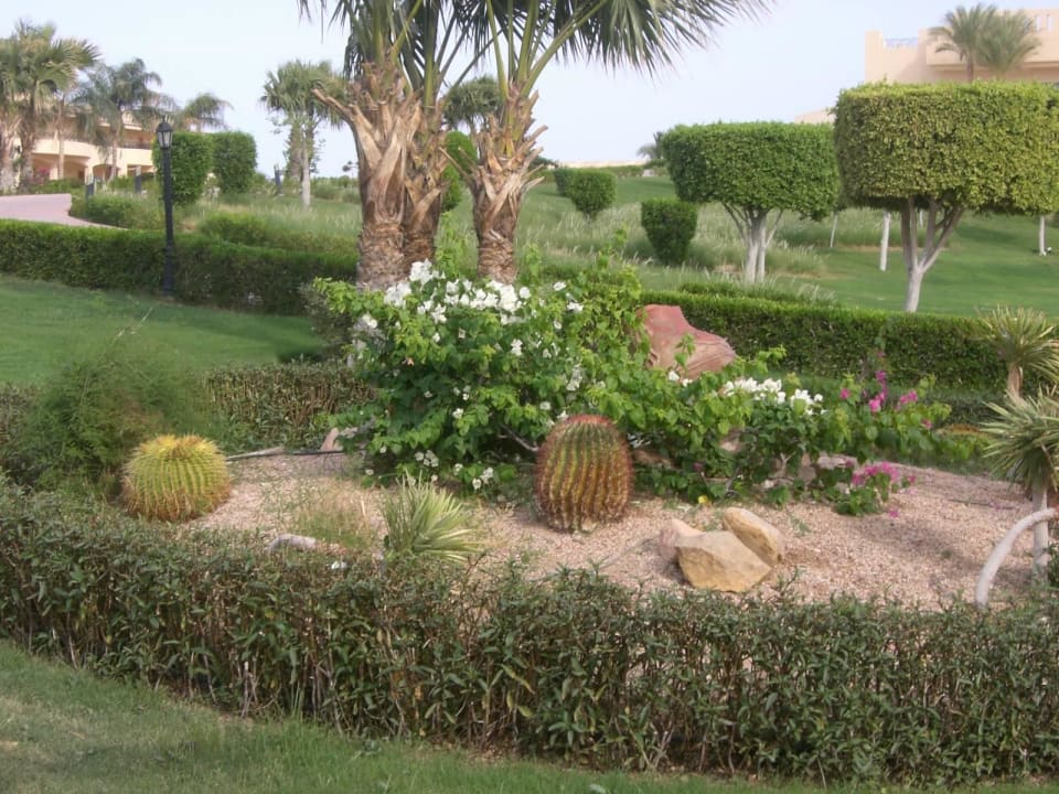 Sehr schön angelegt Cleopatra Luxury Resort Makadi Bay