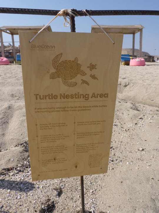 Strand Malikia Resort Abu Dabbab