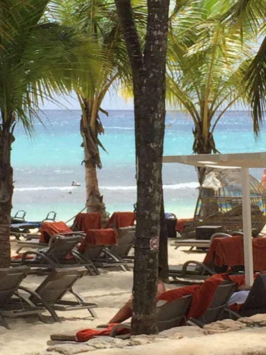 Strand Hotel Viva Dominicus Beach by Wyndham - All Inclusive Resort