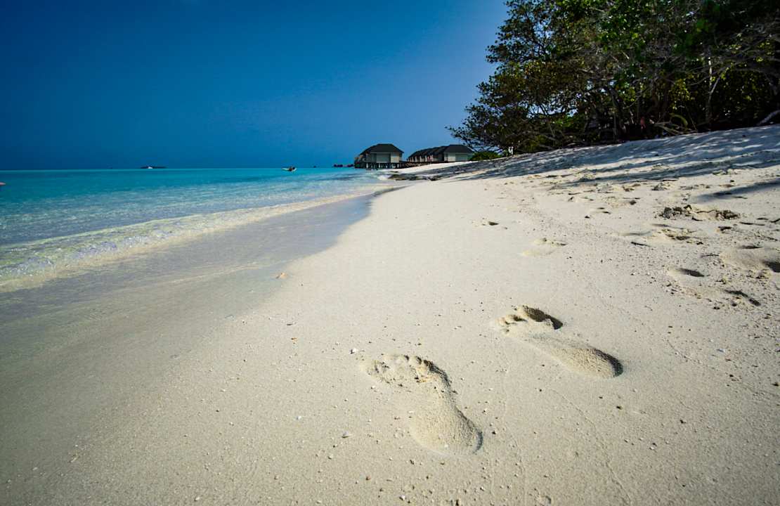 Strand Summer Island Maldives
