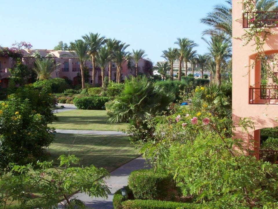 Blick vom Balkon Iberotel Makadi Beach