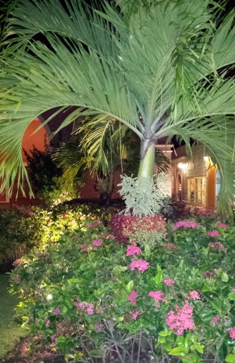 На территории отеля Majestic Elegance Punta Cana