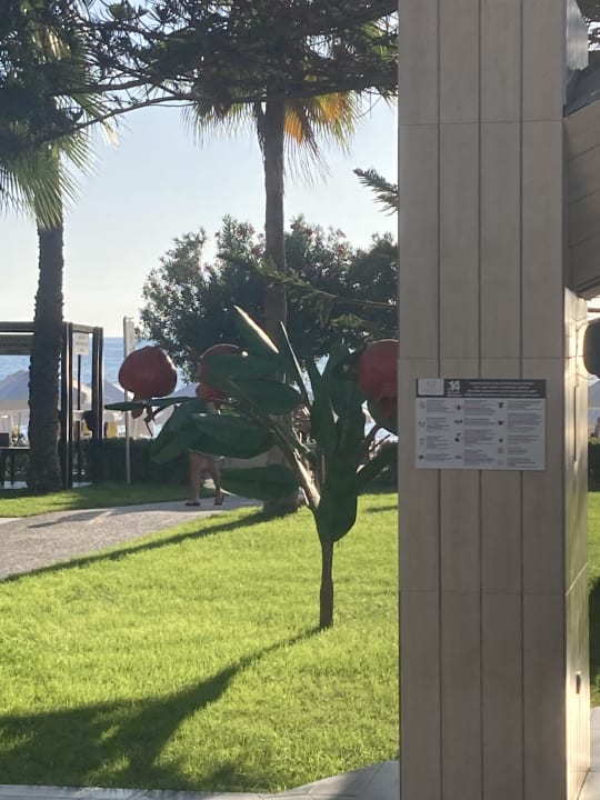 Gartenanlage Nerton Hotel - Erwachsenenhotel ab 16 Jahren