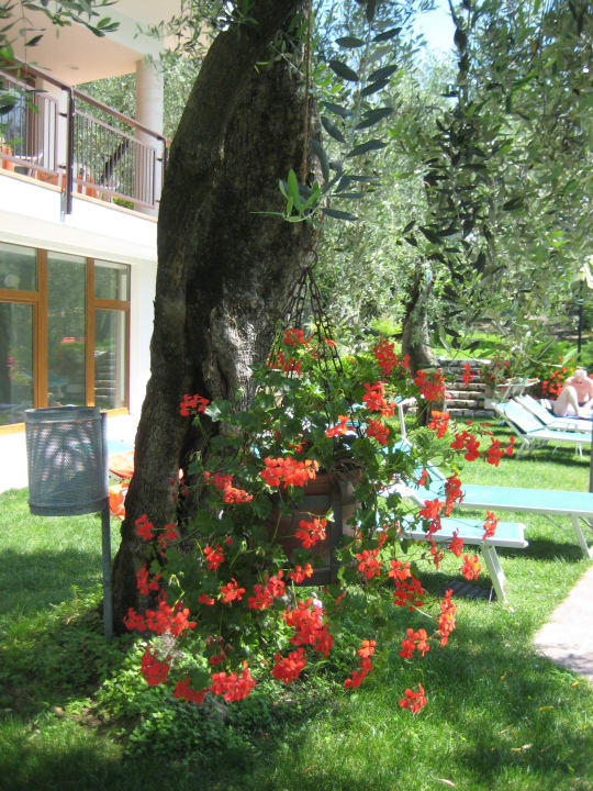 Wunderschöne Gartenanlage Hotel Coste