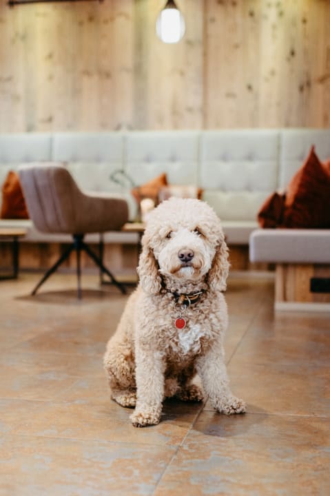 Lobby Hotel Brückenwirt
