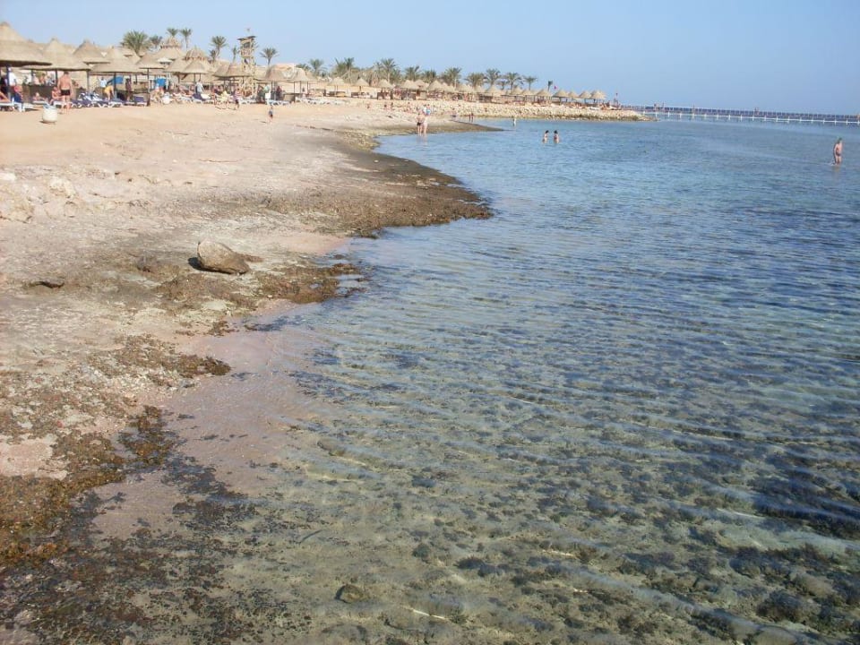 Wunderschönes klares Wasser Parrotel Beach Resort