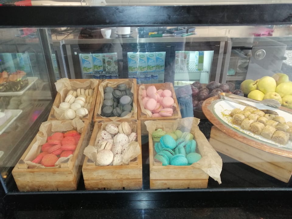 Gastro PALOMA Perissia