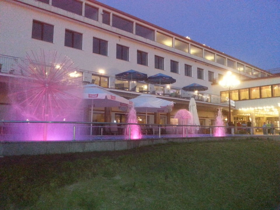 Ogródek piwny  Hotel Gołębiewski