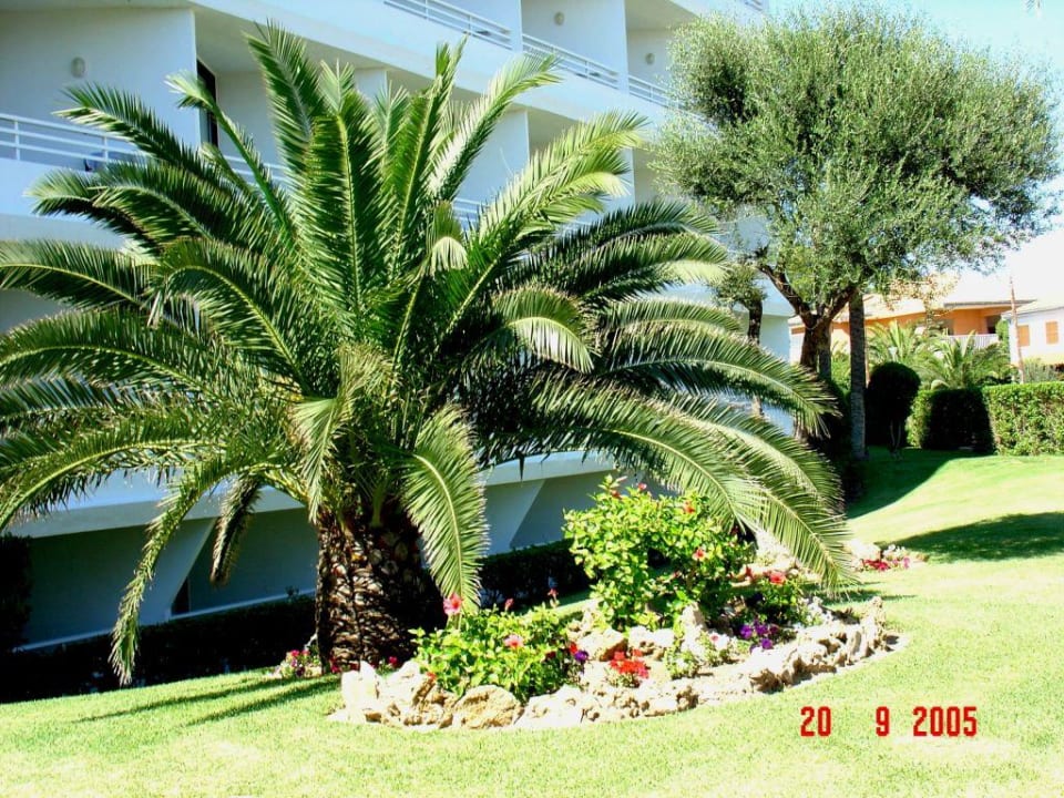 Eingang zum Iberostar Exagon Park Hotel Exagon Park