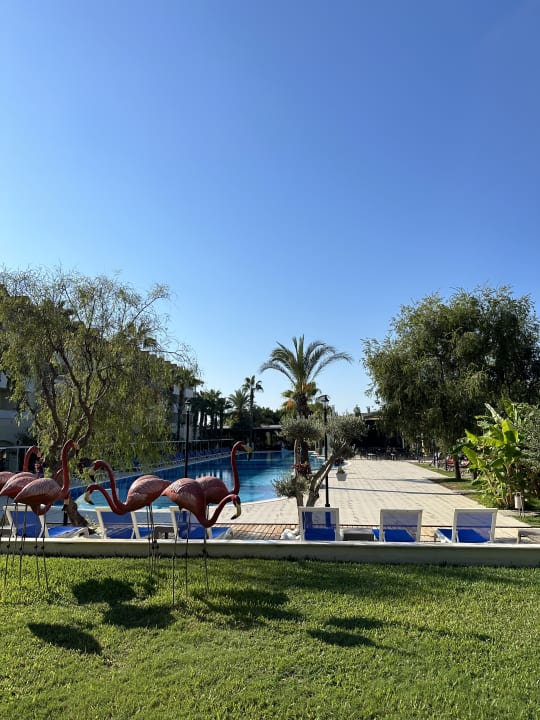 Pool Hotel Süral Resort