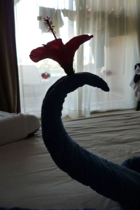 den Roomservice zu Hause - das wärs... TUI MAGIC LIFE Kalawy