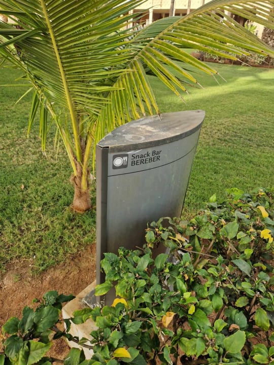 Gartenanlage Hotel Riu Touareg